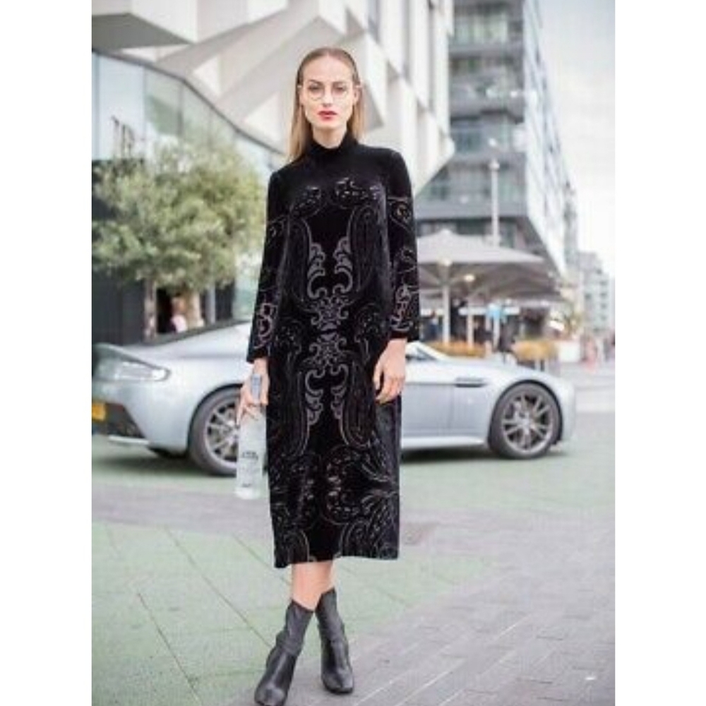 Zara Silk Devore Velvet Maxi Dress